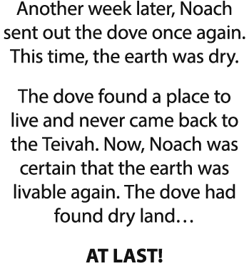 Another week later, Noach sent out the dove once again  This time, the earth was dry  The dove found a place to live    