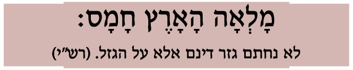                      :                               (     )