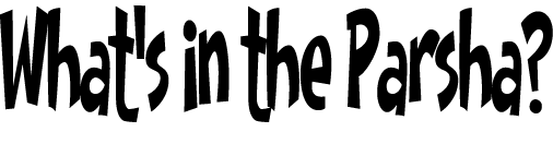 What's in the Parsha 