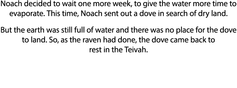 Noach decided to wait one more week, to give the water more time to evaporate  This time, Noach sent out a dove in se   