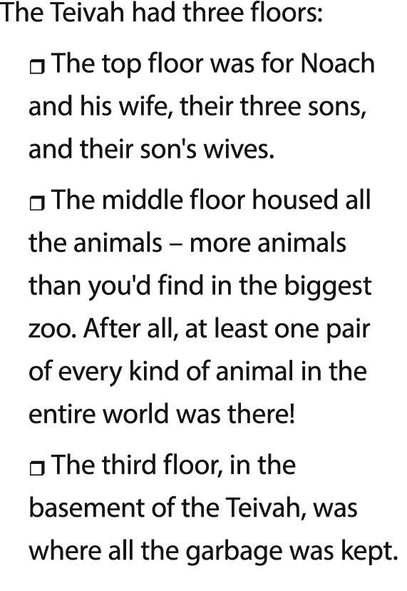 The Teivah had three floors: The top floor was for Noach and his wife, their three sons, and their son's wives  The m   