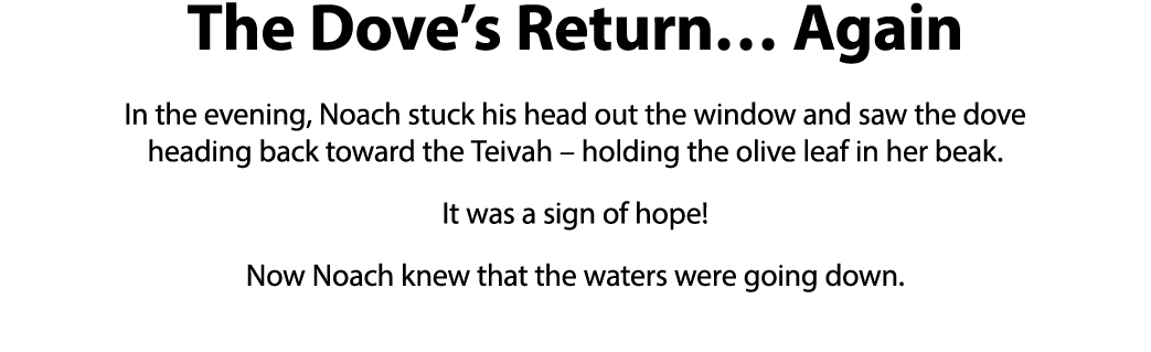 The Dove s Return  Again In the evening, Noach stuck his head out the window and saw the dove heading back toward the   