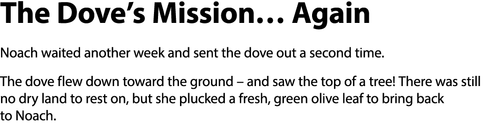The Dove s Mission  Again Noach waited another week and sent the dove out a second time  The dove flew down toward th   
